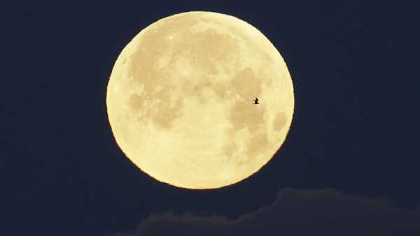 Rare "strawberry moon" Tuesday night: When & how to watch in Vermont, New York