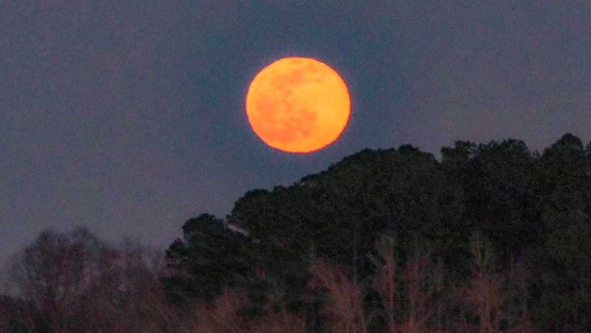 Savannah Look up! Nearly total lunar eclipse visible this week