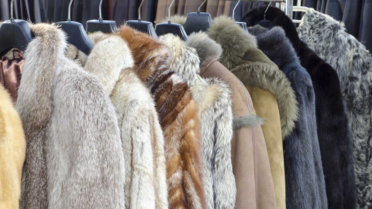 California Assembly votes to ban sale of fur