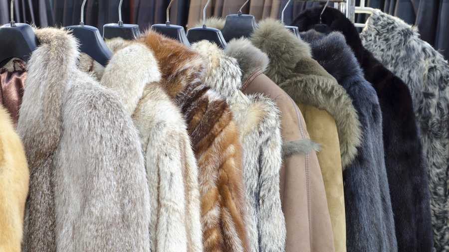 San Francisco becomes largest US city to ban fur sales