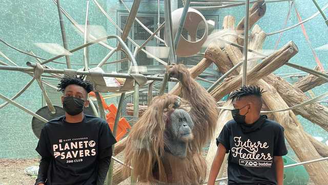'Future Healers' kids get chance to learn animal conversation in partnership with Louisville Zoo - Vimarsana News