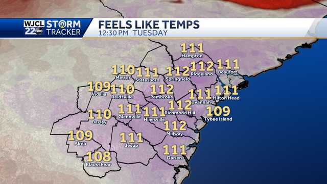 Georgia: Dangerously hot near coast with feels-like temps at 110 - Vimarsana News