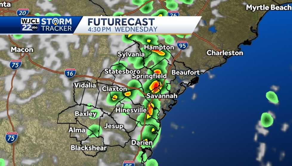 Umbrella needed this afternoon with showers and storms after 2 pm - WJCL
