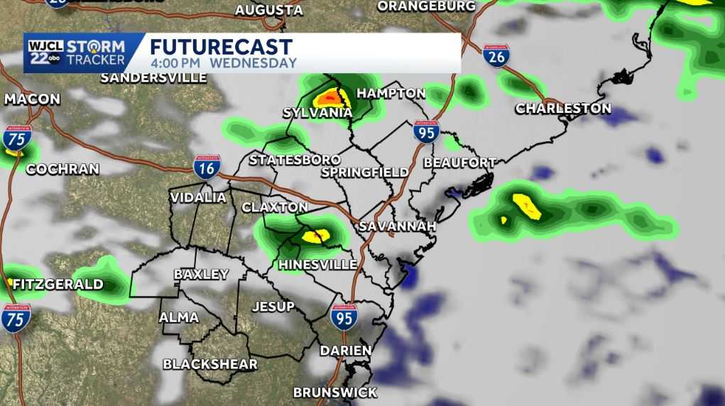 Spring-like for the Savannah area, plus showers by tomorrow - WJCL