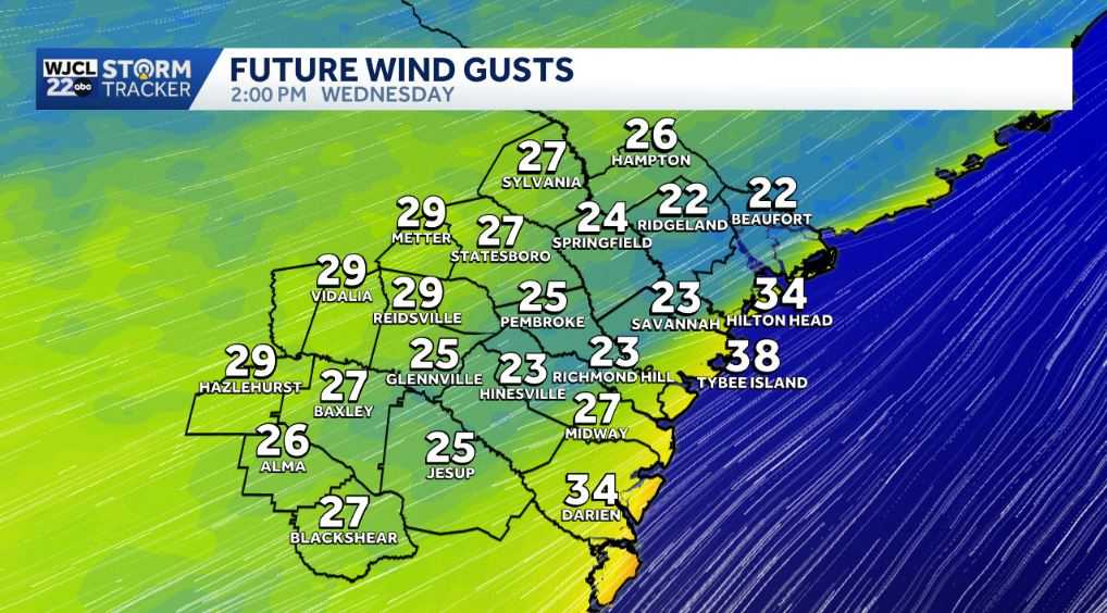 Savannah: Gusty winds, dry air increase fire risk - WJCL