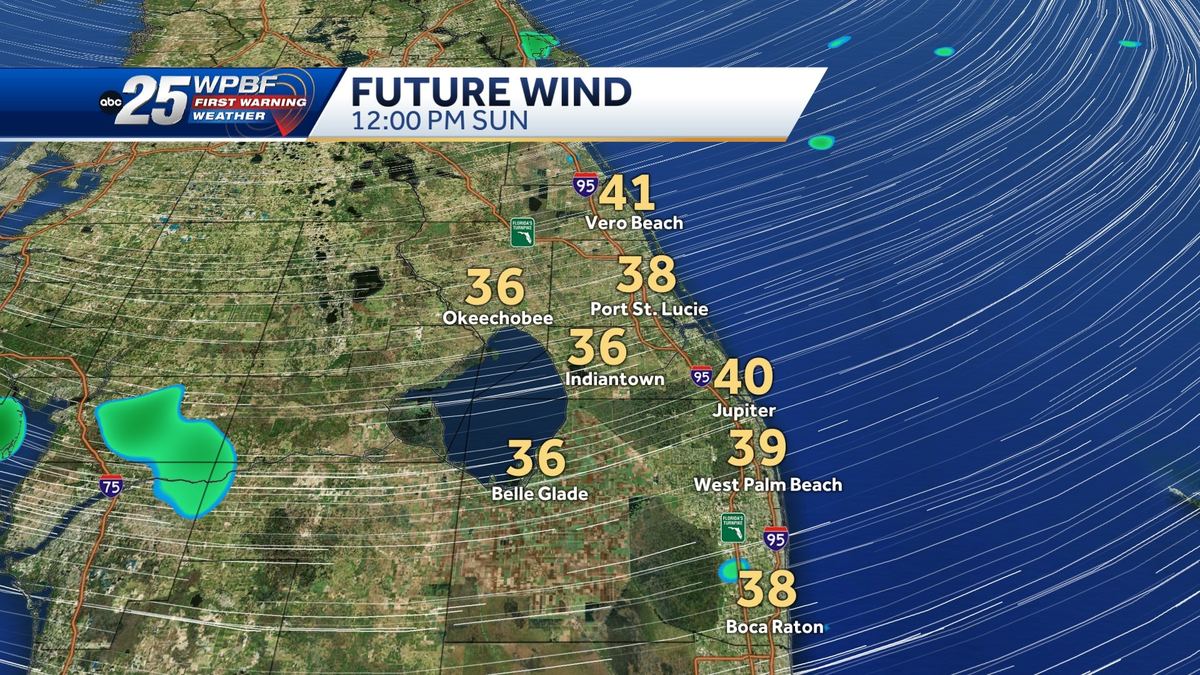 Low pressure in Gulf of Mexico to bring tropical-storm-force winds to South  Florida
