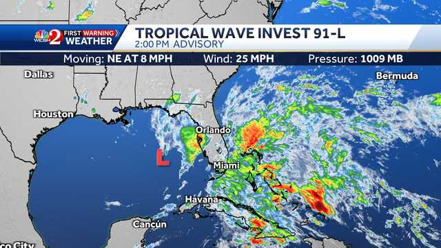 Tropics update: Invest 91-L forms in Gulf, may bring Florida rain - Vimarsana News