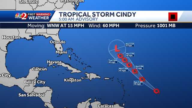 Tropical Storm Cindy: Latest tracks and models - Vimarsana News