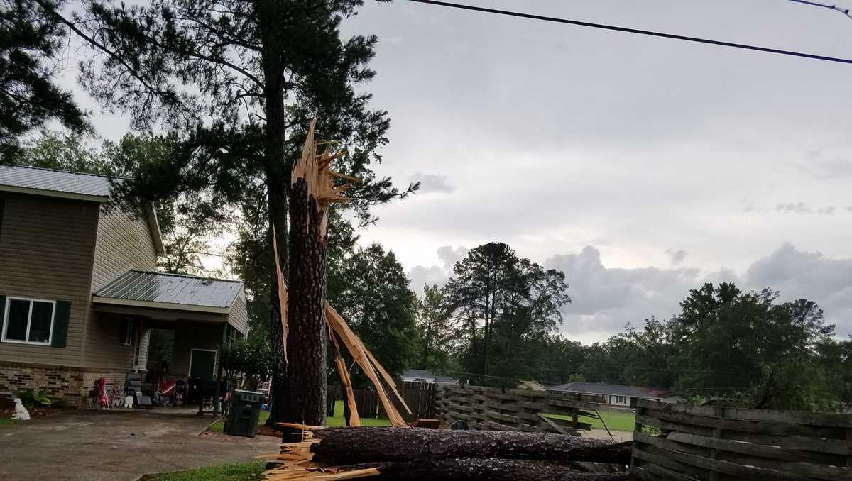 Gadsden-Etowah County EMA reports widespread storm damage