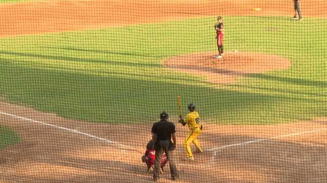 Georgia: CPL championship, Savannah Bananas v. Wilson Tobs - Vimarsana News