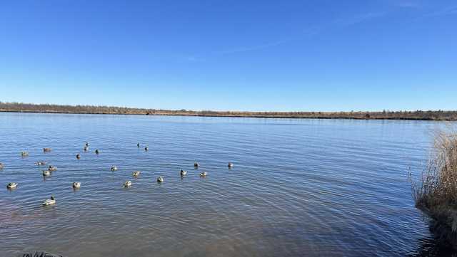 Hunter dies while retrieving duck in Sooner Lake, officials say - Vimarsana News