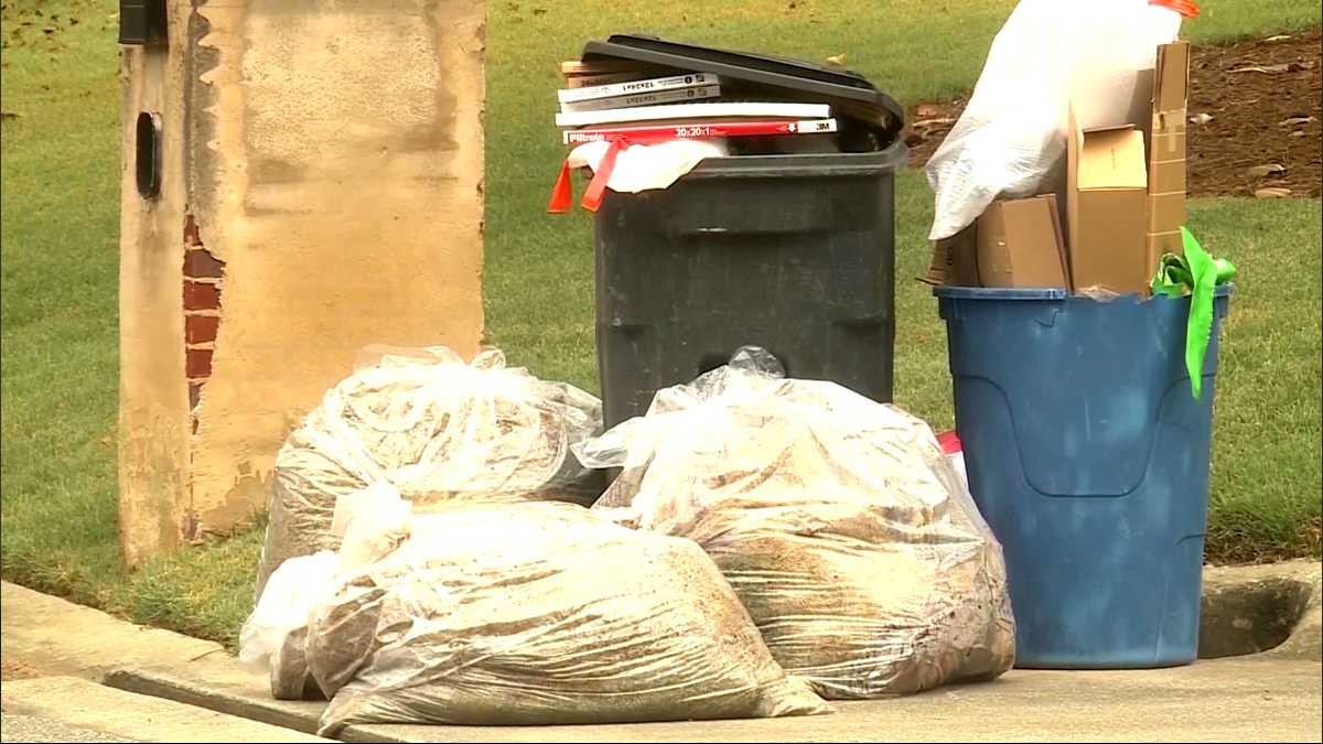 Mayor suing city council over garbage emergency order