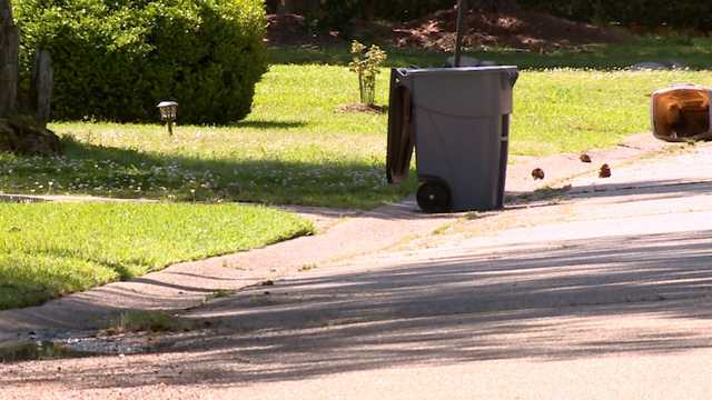 Jackson mayor says he's looking for best deal in a new garbage contract - Vimarsana News