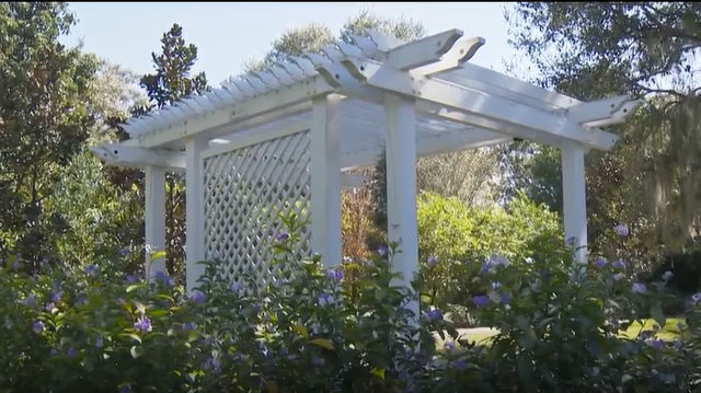 Orlando botanical garden: Harry P. Leu Gardens to get upgrades - Vimarsana News
