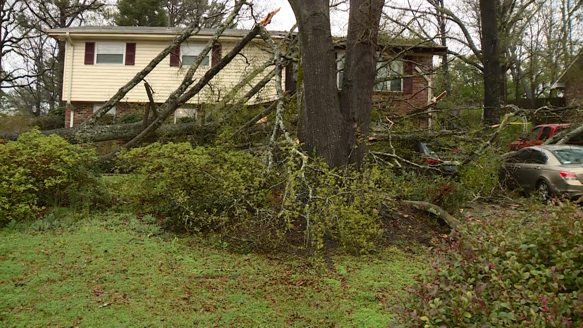PHOTOS Destruction across Alabama after tornado outbreak