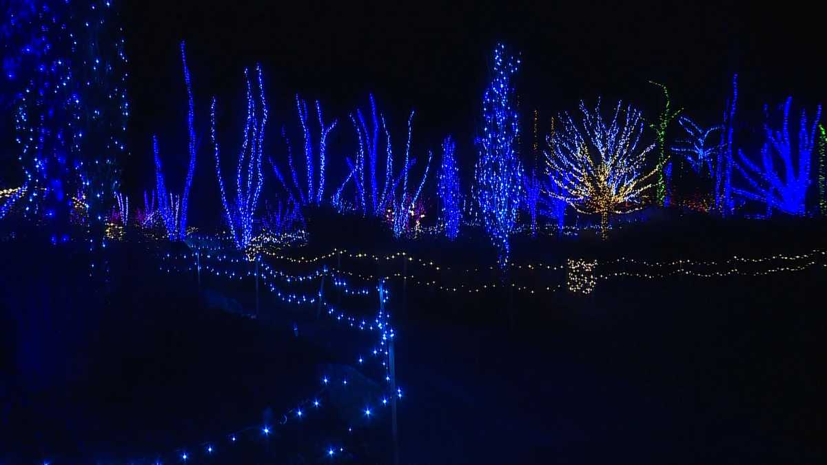 Gardens Aglow opens this weekend as drivethru event