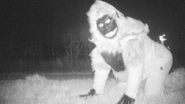 Wild' characters caught on trail cameras at Gardner park Wild' characters caught on trail cameras at Gardner park
