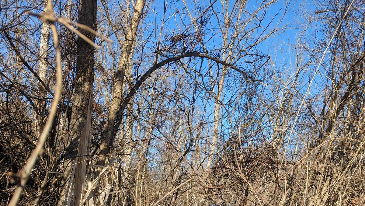 Police MurdockGoshen Road closed following overnight crash