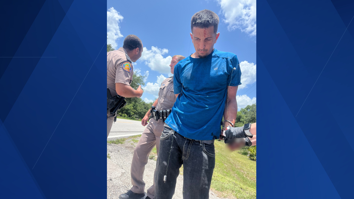 Convicted felon arrested after high-speed chase, accused of stealing ...