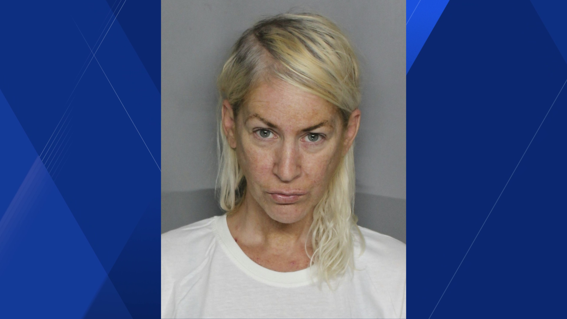 Woman faces murder charge after deputies say she confessed to roommate ...