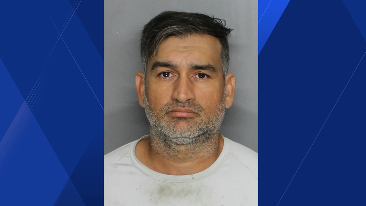 Man accused of violating Florida license plate law, driving without a valid license