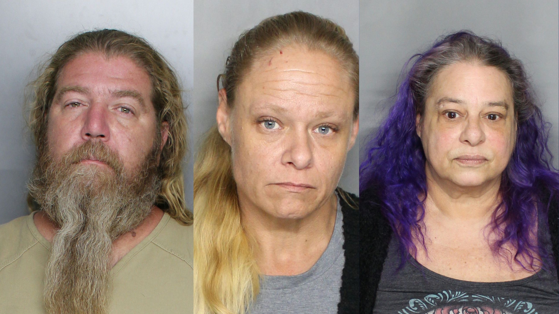 Three arrested on drug charges after search warrant at Port Charlotte ...
