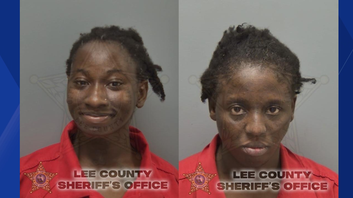 Stolen car DUI chase ends in crash in Fort Myers; Infant found ...