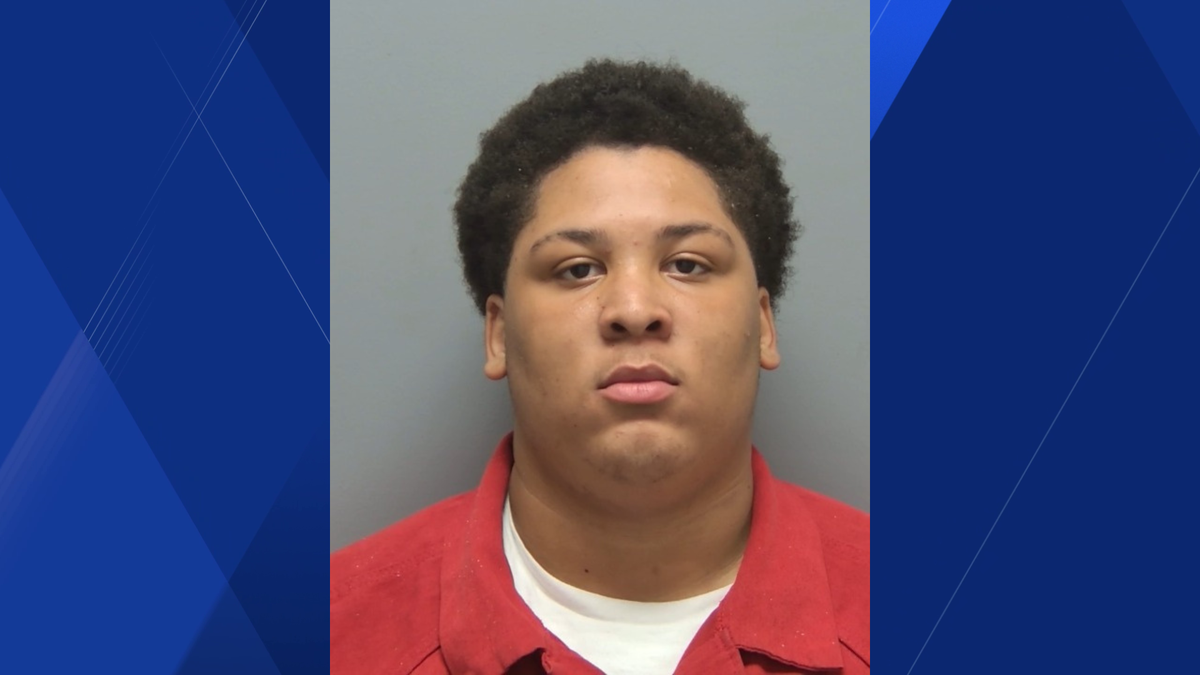 Man accused of violating probation following battery on an officer arrest in Lee County