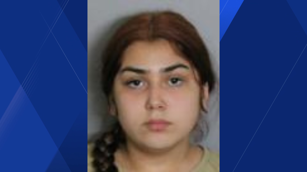 Teen to serve 15 years in prison for attempted robbery in Punta Gorda ...