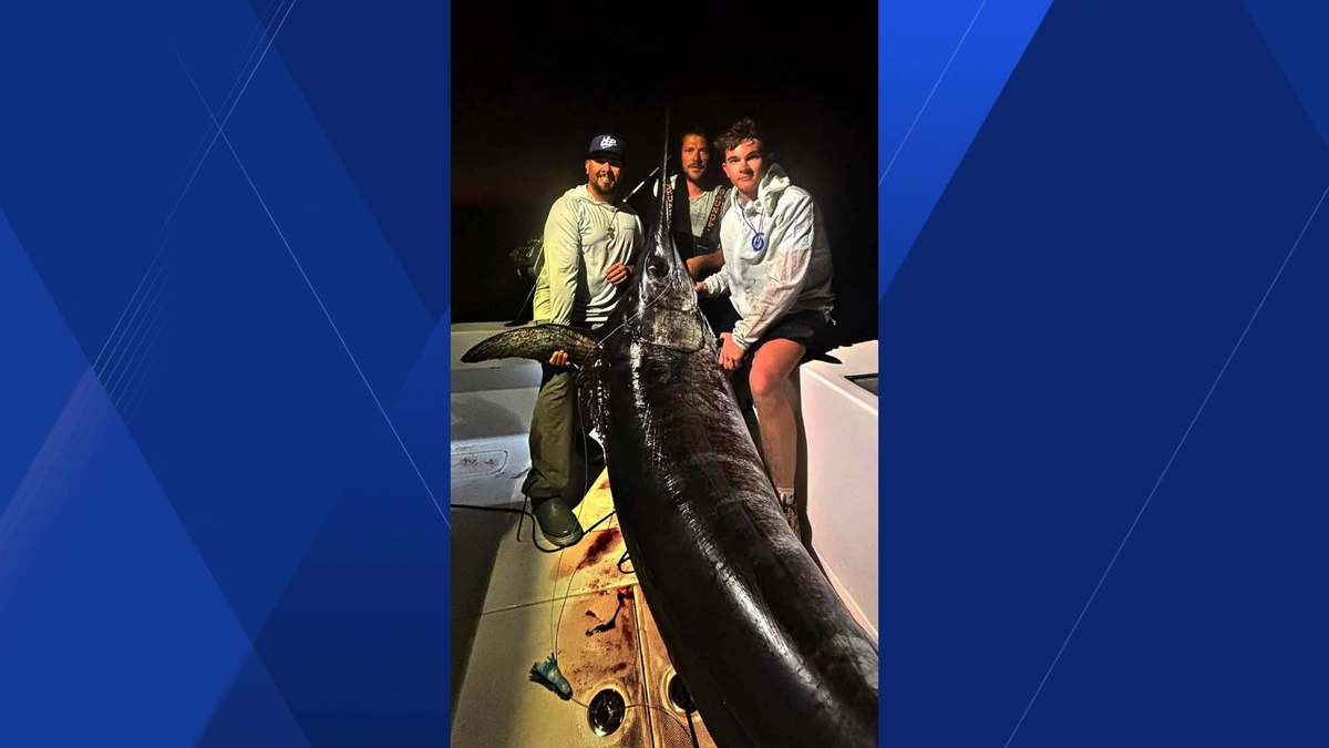Boat captain, vacationing family reel in nearly 500-pound swordfish in the Florida Keys