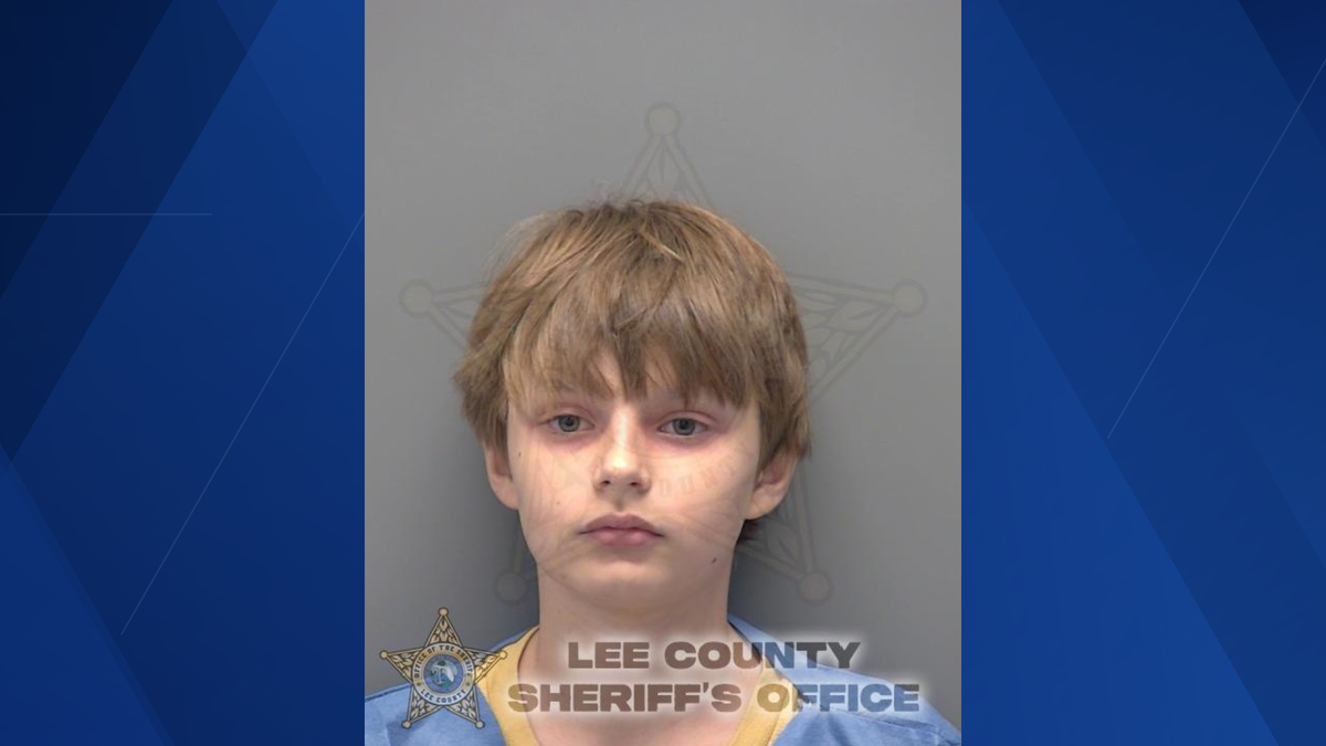 11-year-old boy accused of making TikTok school threat against North ...