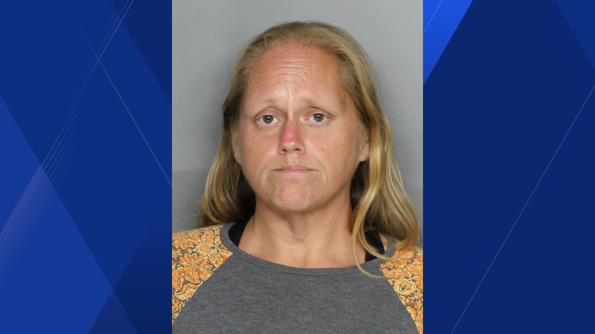Punta Gorda woman accused of stealing motorized Publix shopping cart to ...