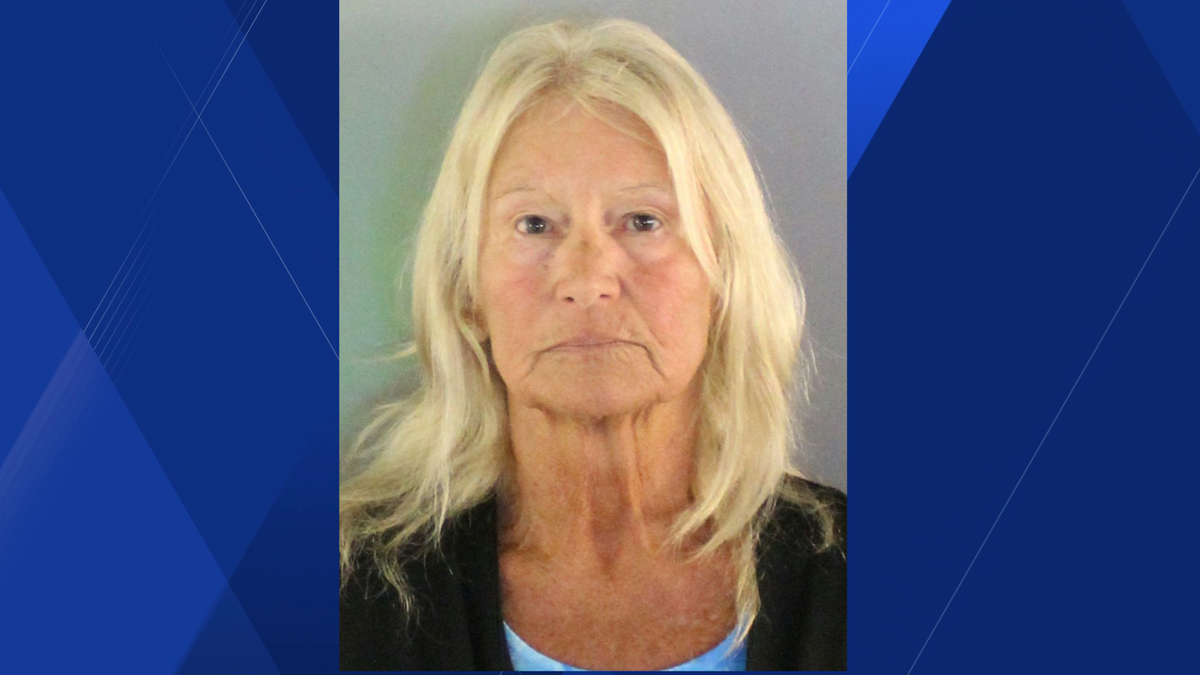 Punta Gorda woman accused of stealing $7.5K from neighborhood HOA