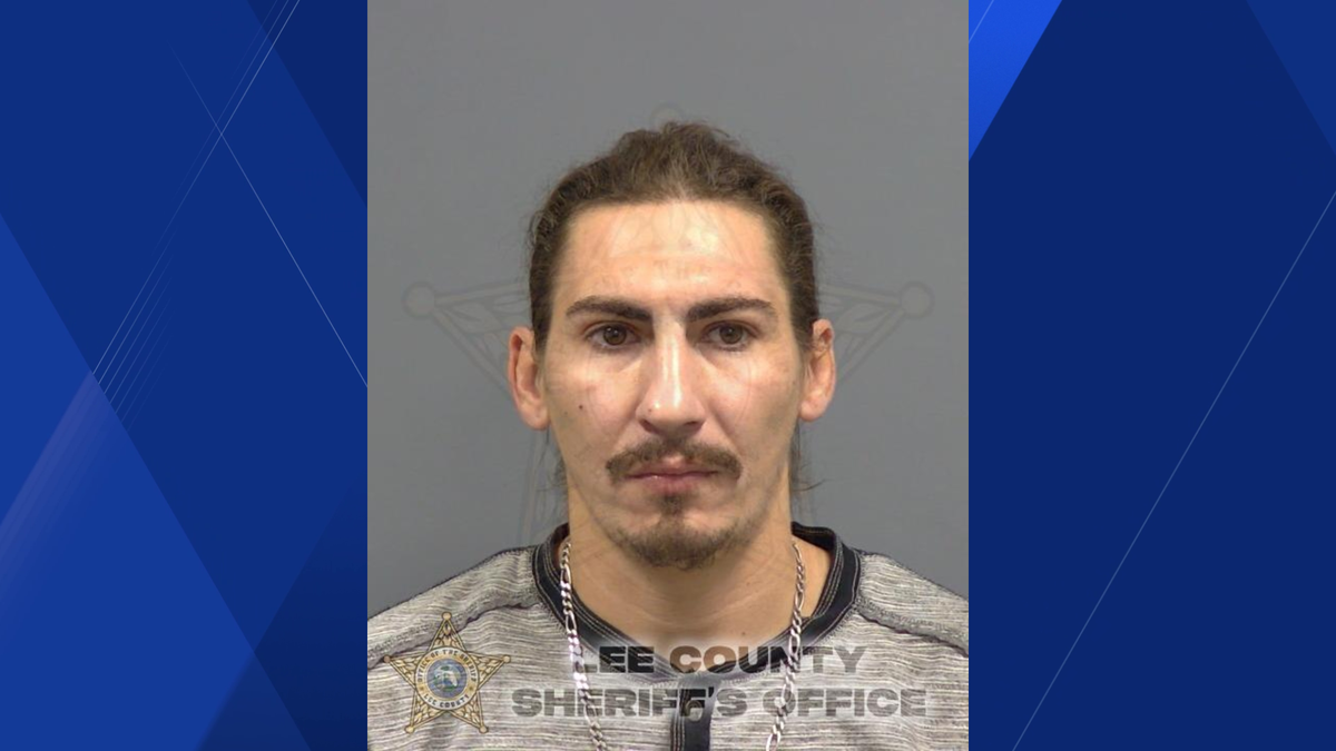 Man accused of throwing dog off balcony sentenced to 12 months of probation