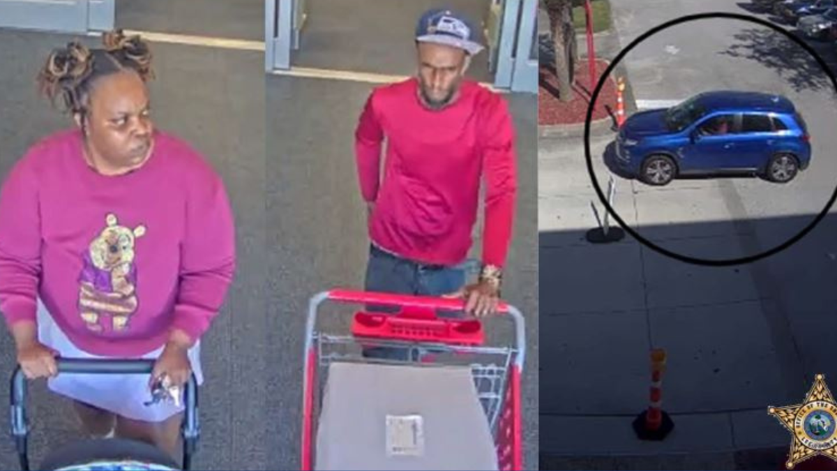 Duo suspected of stealing more than $3K in baby formula from Lee County ...