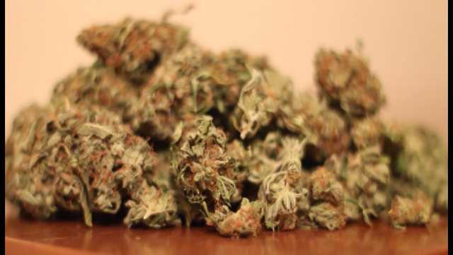 Vermont man sentenced to probation after border patrol seize hundreds of pounds of marijuana - Vimarsana News