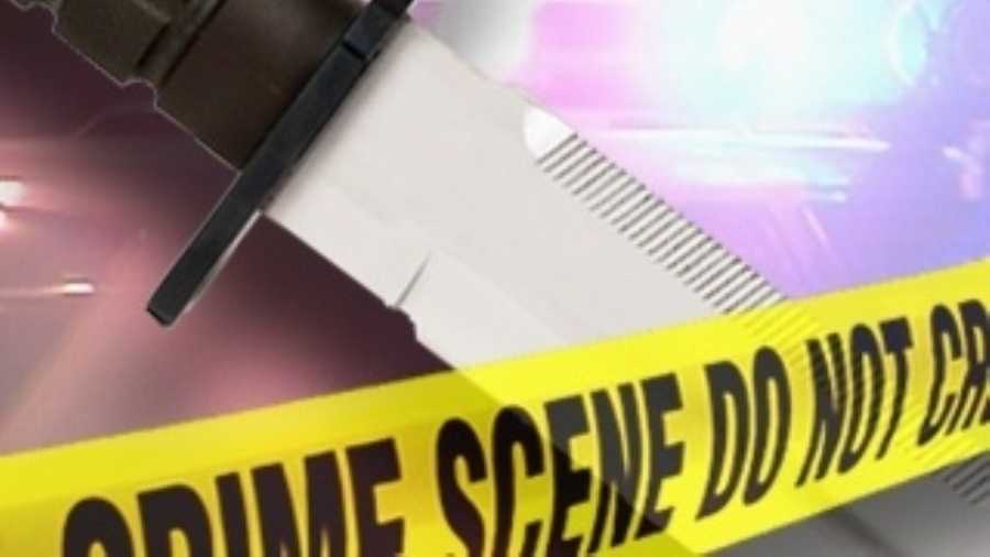 South Carolina Man repeatedly stabs girlfriend with kitchen knife