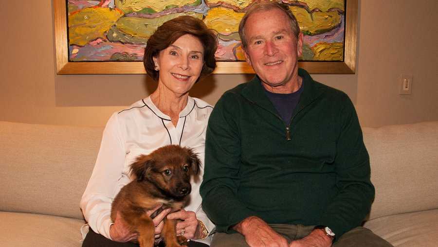George W. Bush's new puppy