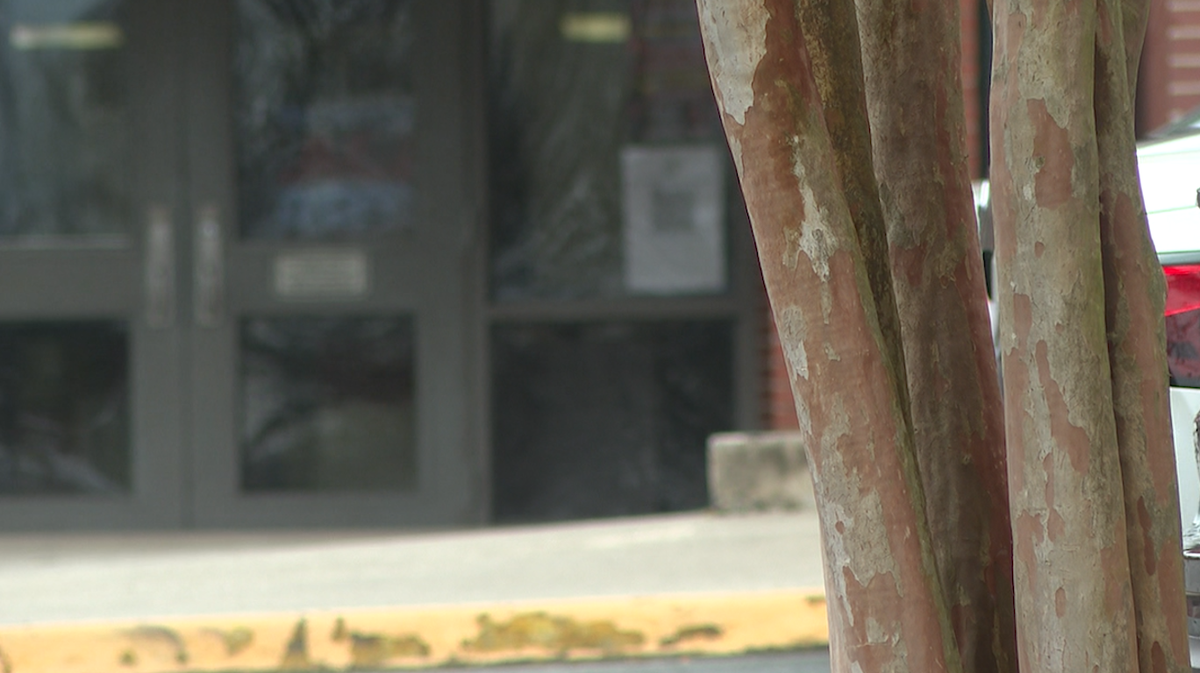 Georgia could be first state to mandate school weapons detectors