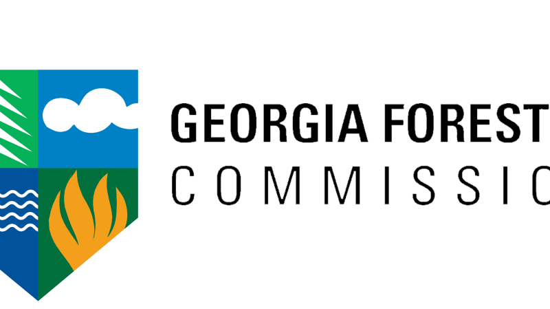 New director of Georgia Forestry Commission announced