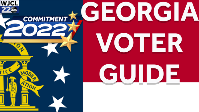 Georgia 2022 Primary Voter Guide: What to know before you vote - Vimarsana News