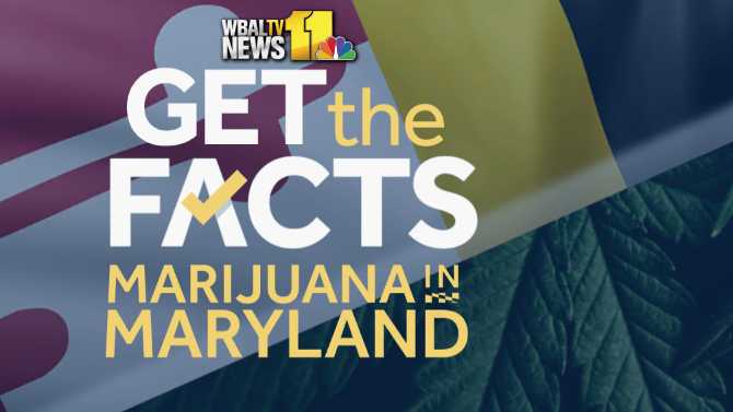 Recreational Marijuana Becomes Legal In Maryland | Get The Facts