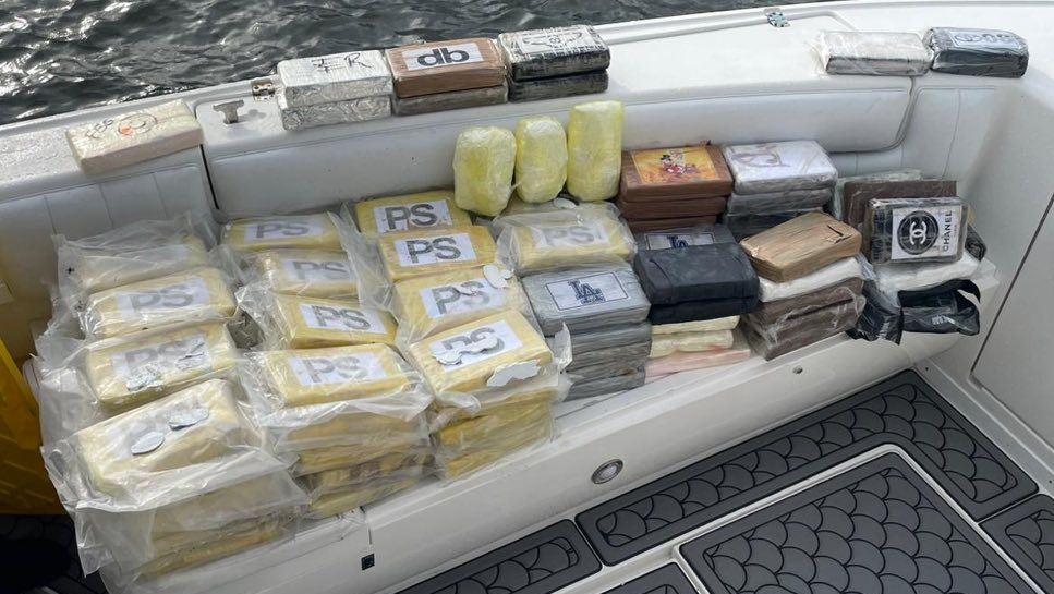 Drug bust in Palm Beach County leads to arrest