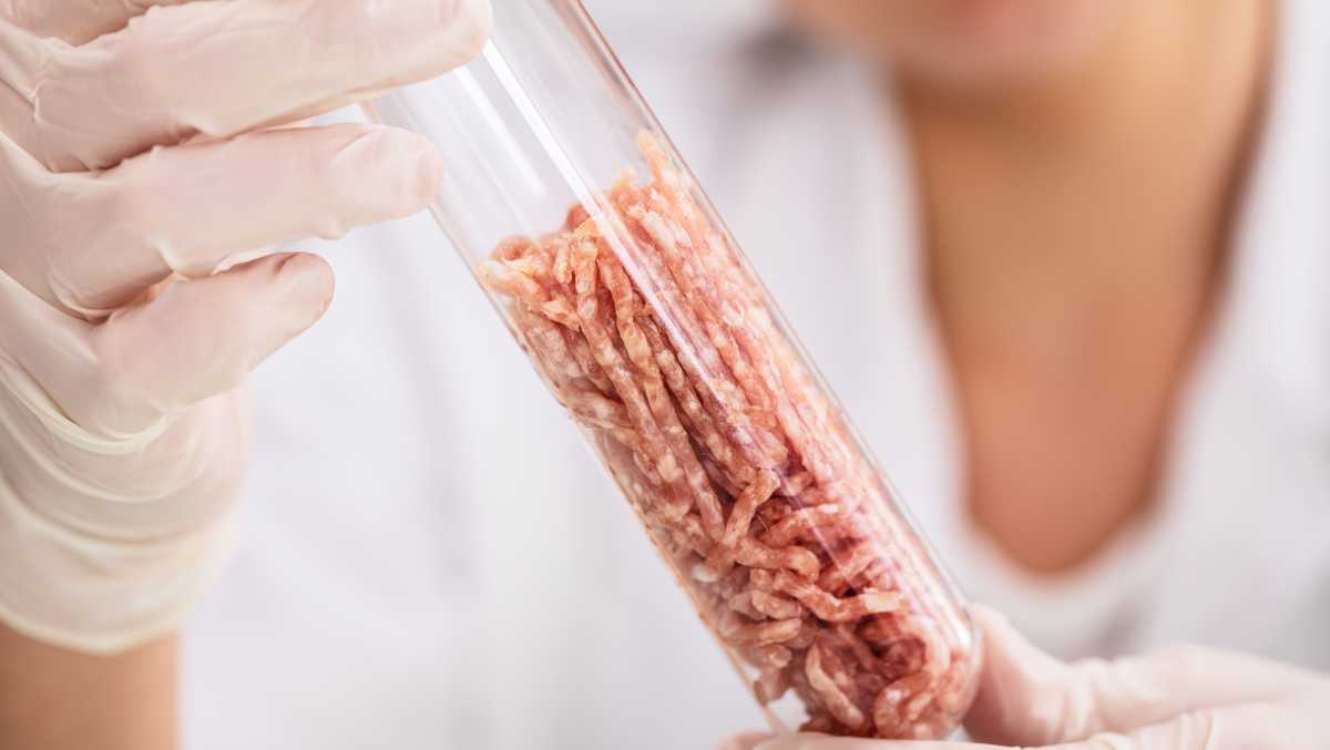 Pennsylvania lawmaker to introduce bill that requires labels for lab-grown meat