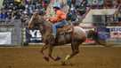 Pa Farm Show Rodeo 2026 Pennsylvania Farm Show guide