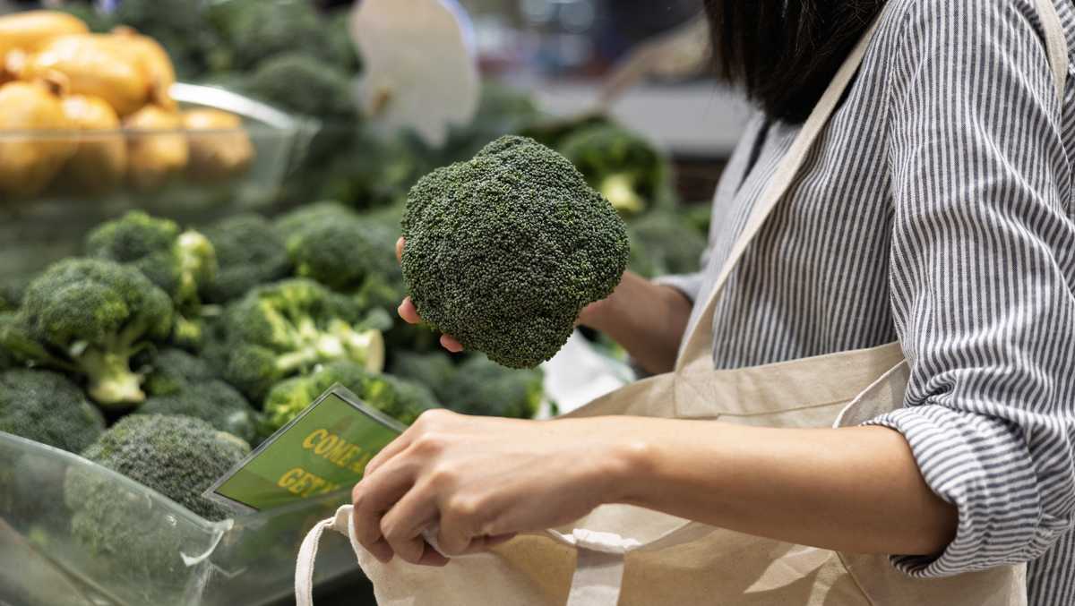 Philadelphia council passes 10-cent paper bag fee | Mayor seeks low-income protections
