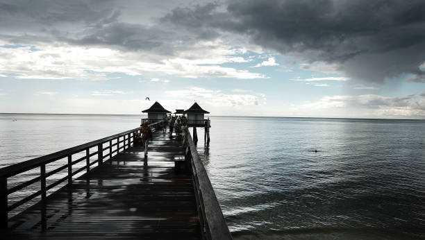 Man arrested for exposing genitals to woman at Naples Pier - Vimarsana News