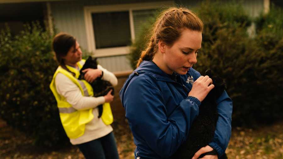 Samantha Esau, 19, of Chico, Emily Garcia of Magalia take in stray cats from an evacuated home in Paradise, California on November 12, 2018. As of Monday morning, Camp Fire is at 113,000 acres with 25% containment.
