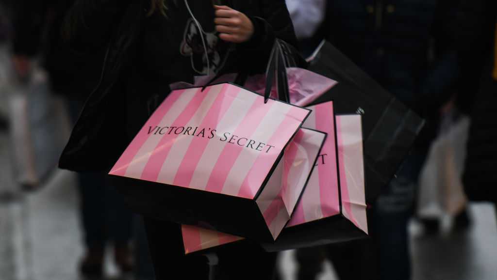Victoria secret Bag  Victoria secret bags, Bags, Secret