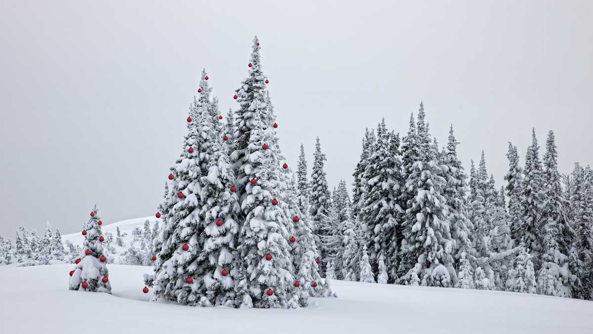 A white Christmas? Will is snow in North Carolina on Christmas Day? What are the odds?
